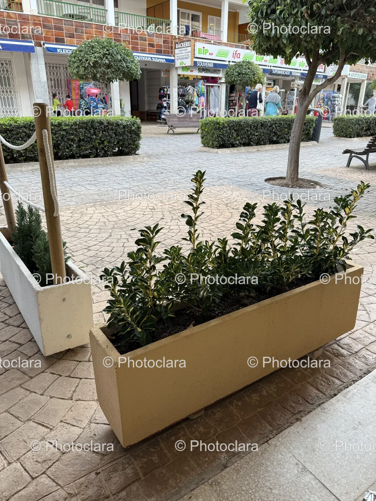Charming-Planter-Boxes-on-Brick-Sidewalk.jpg