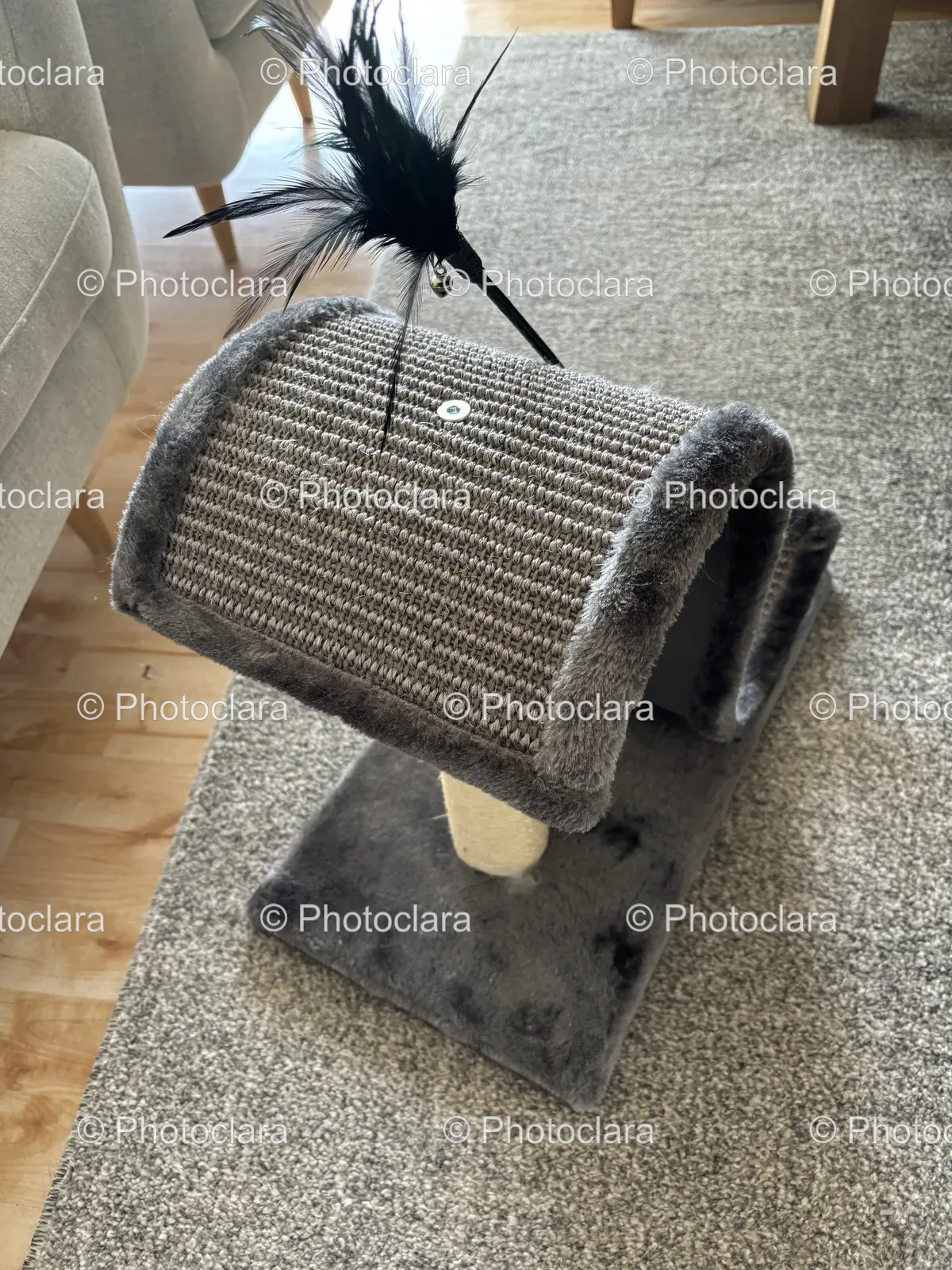 Cute-Cat-Toy-on-Cozy-Carpet.jpg