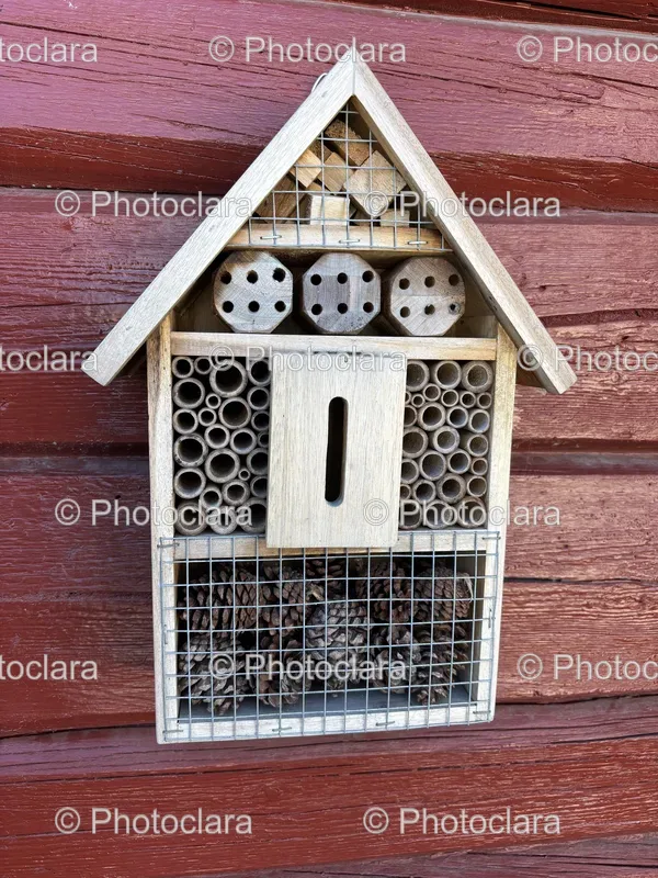 Insect Houses and Decor