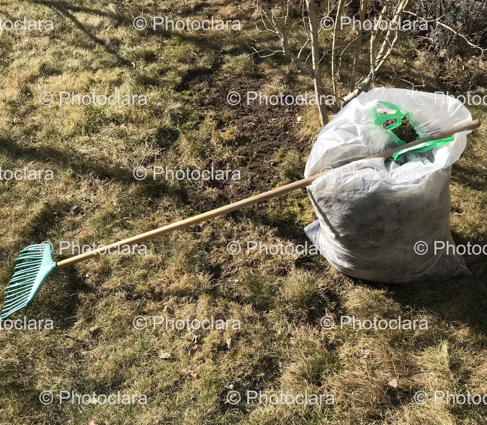 rake-and-bag-on-grass.jpg