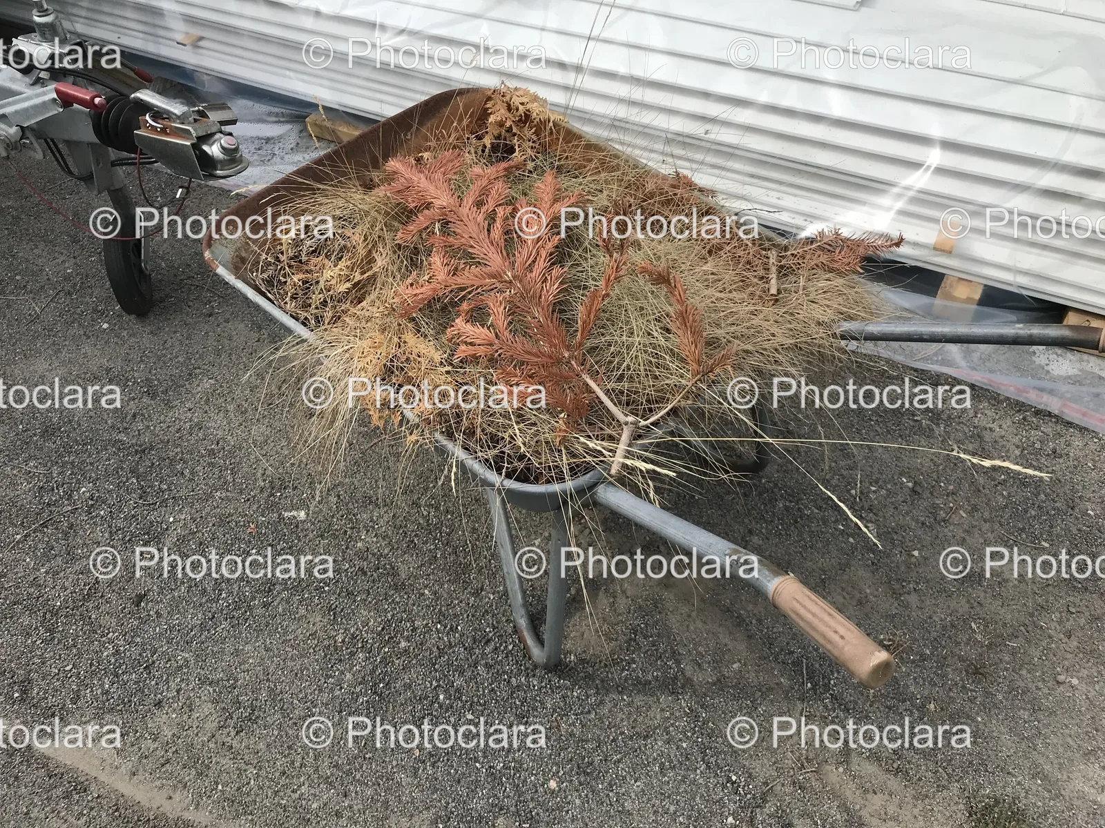 wheelbarrow-full-of-grass.jpg