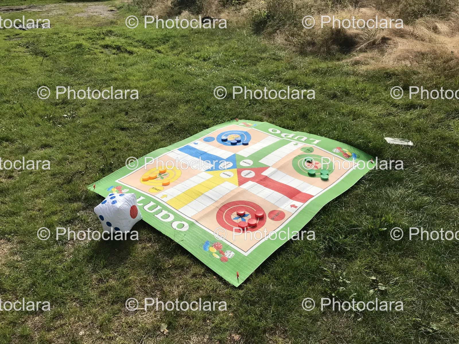 Ludo-Board-Game-on-Grass.jpg