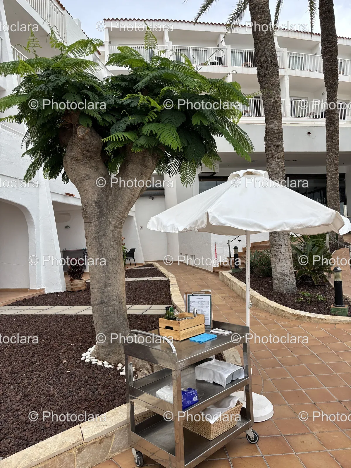 relaxing-outdoor-dining-setup.jpg