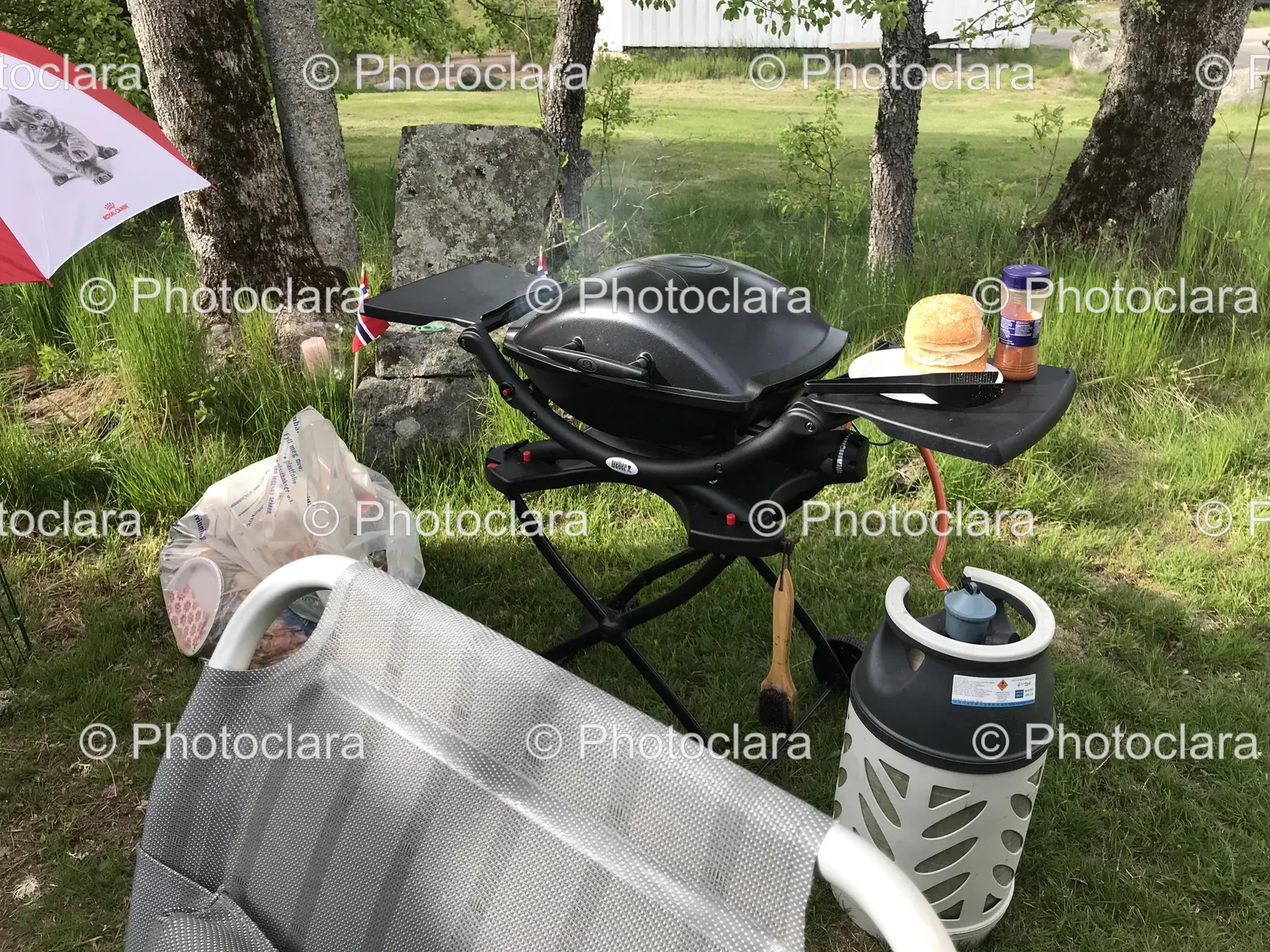 Grill-on-a-Lawn.jpg