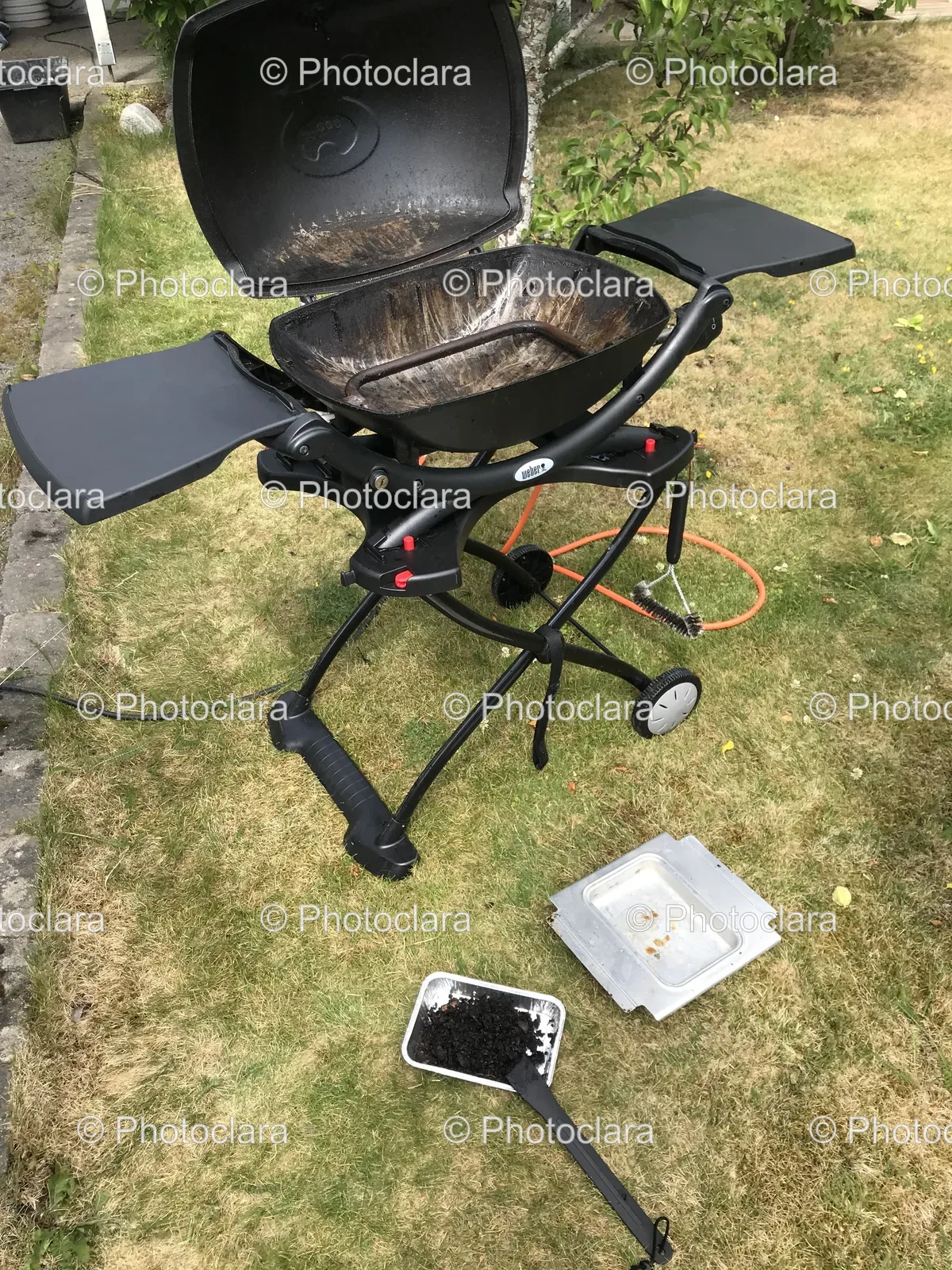 Weber-Barbecue-Grill-on-Grass.jpg