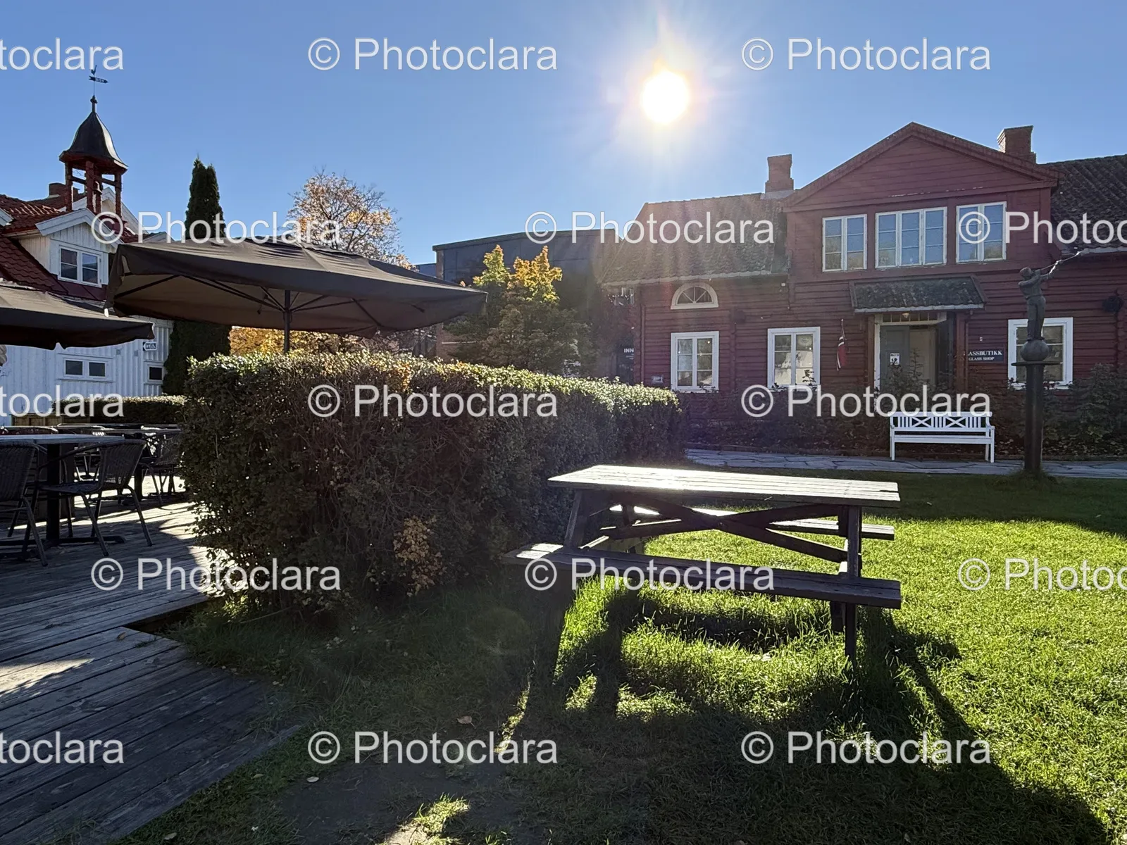 Picnic-Table-Yard.jpg