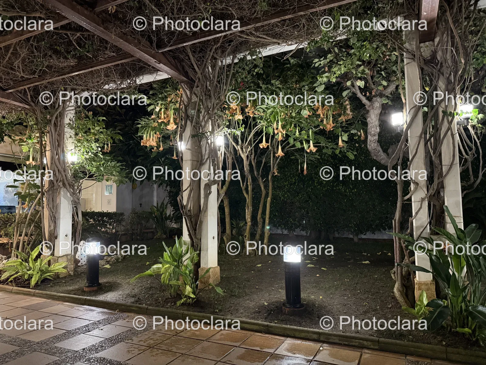 Charming-Covered-Patio-with-Ambient-Lighting.jpg