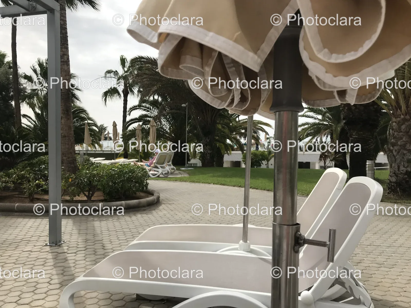 Relaxing-Under-the-Umbrella.jpg