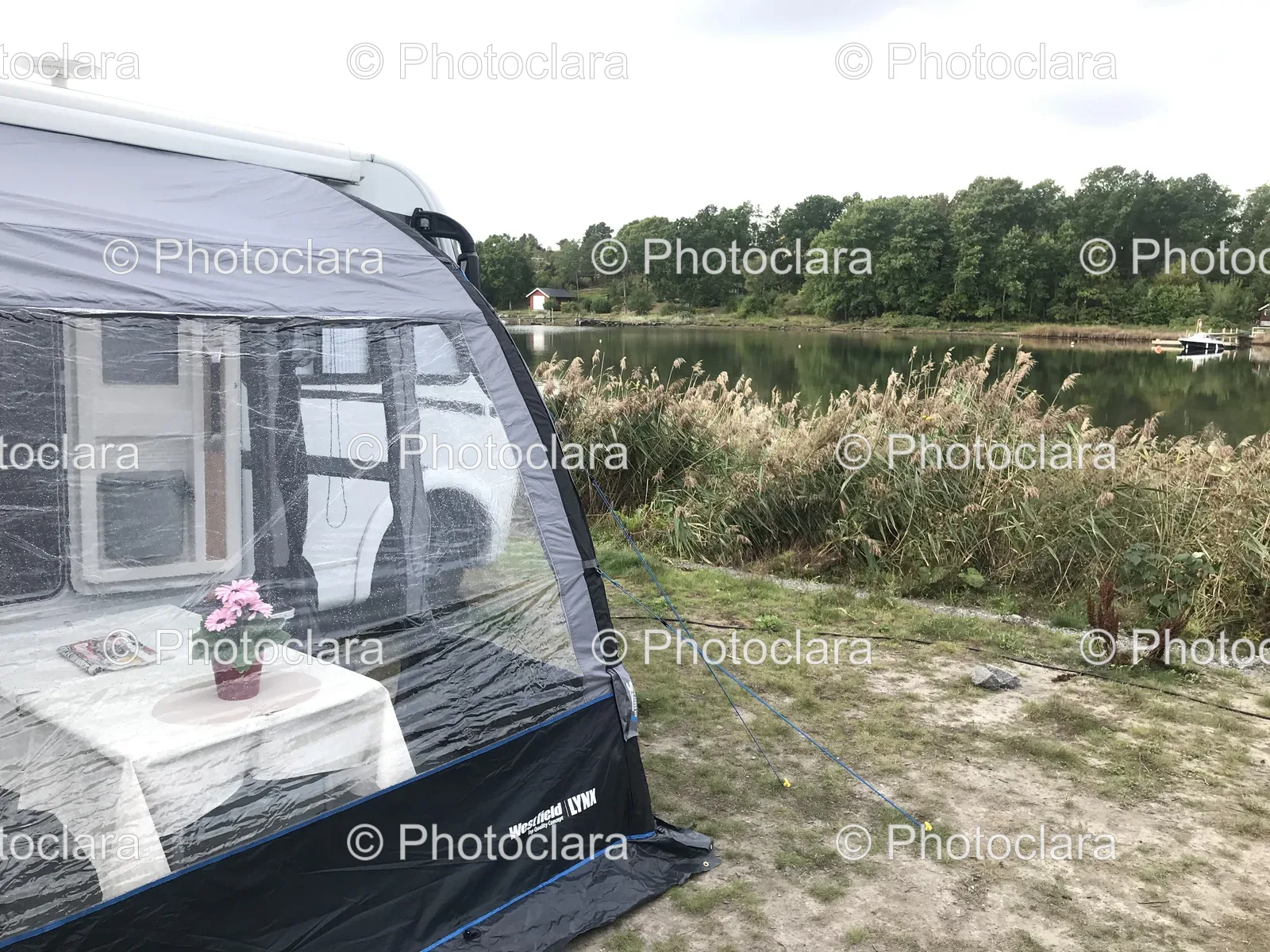 tent-by-the-water-with-flower-pot.jpg
