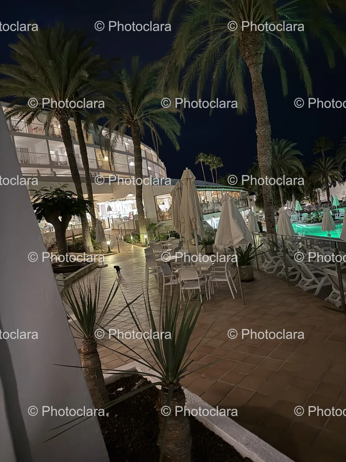 charming-patio-oasis.jpg