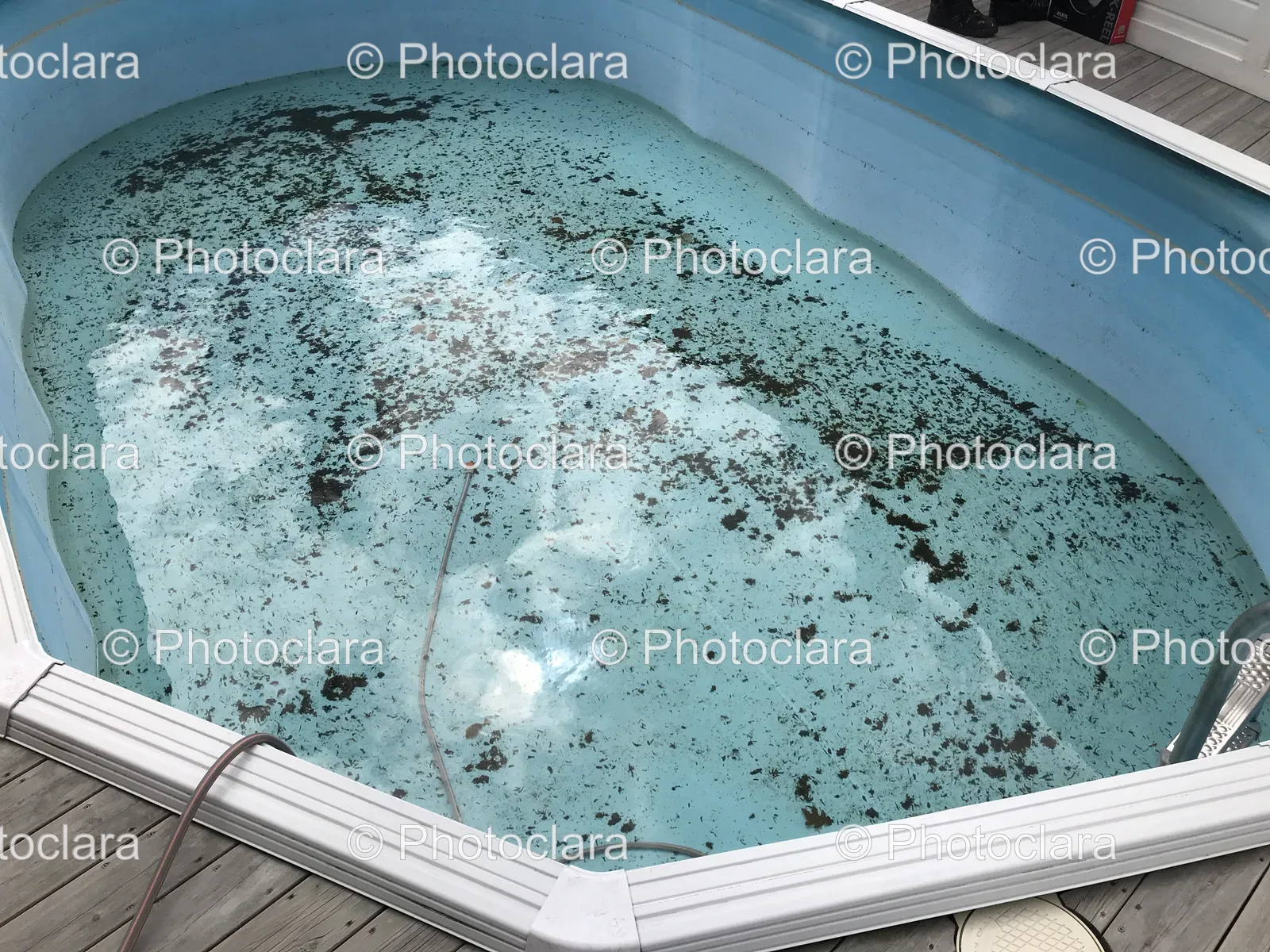 neglected-pool-with-dirty-water.jpg