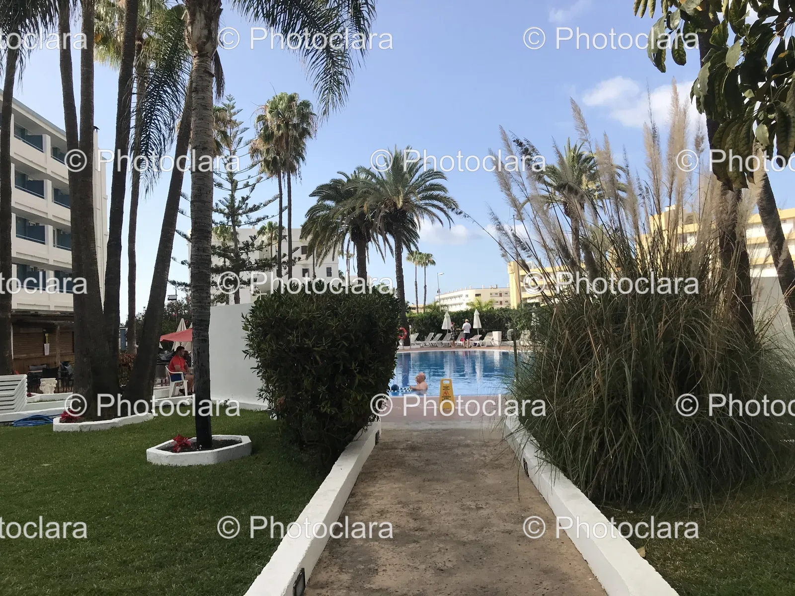 Scenic-Poolside-with-Palm-Trees-and-Building.jpg