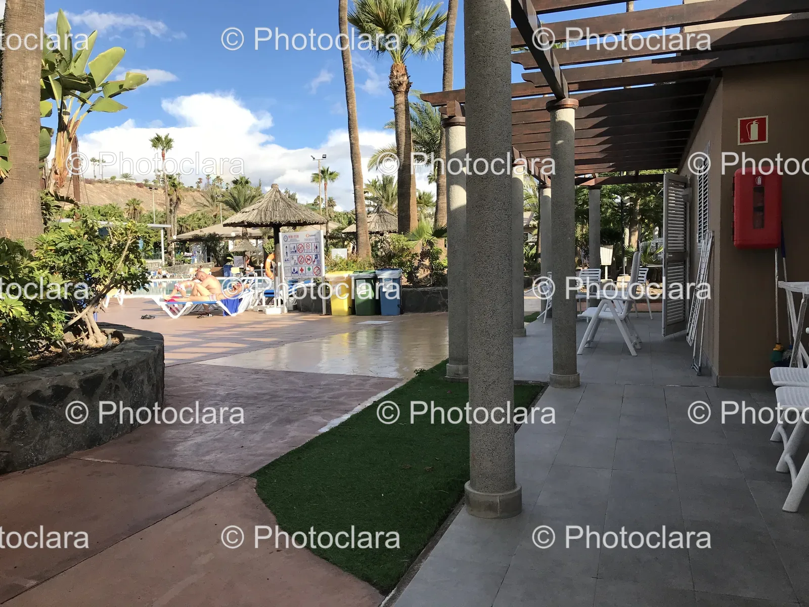 Sunlit-Patio-With-Palm-Trees.jpg