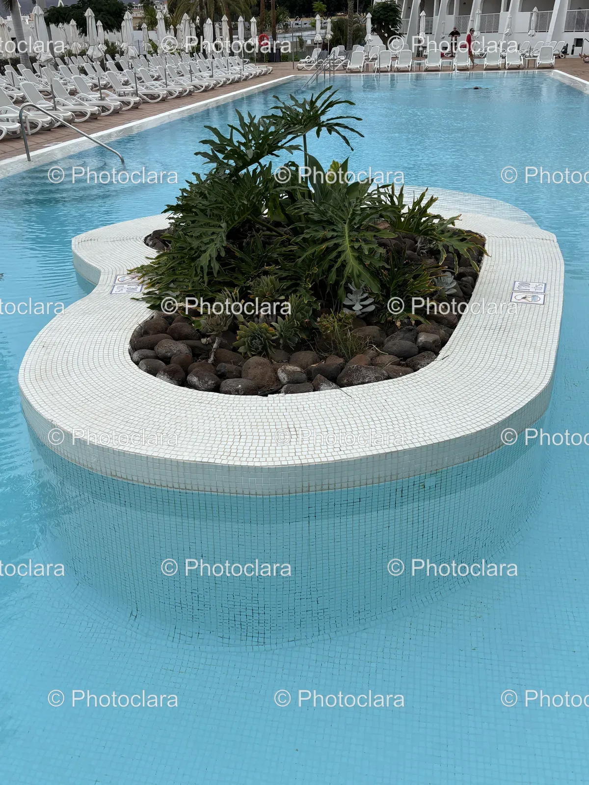 Tranquil-Poolside-Oasis.jpg