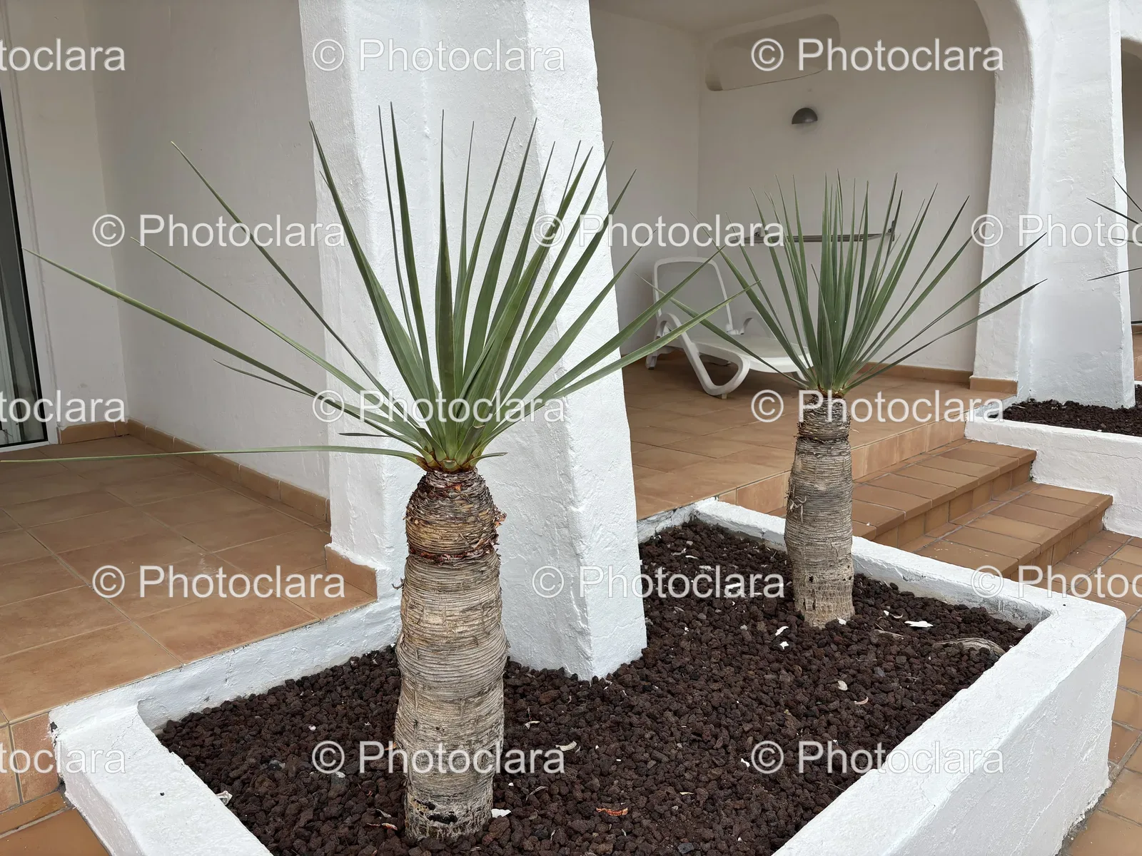 Charming-Indoor-Potted-Plants.jpg