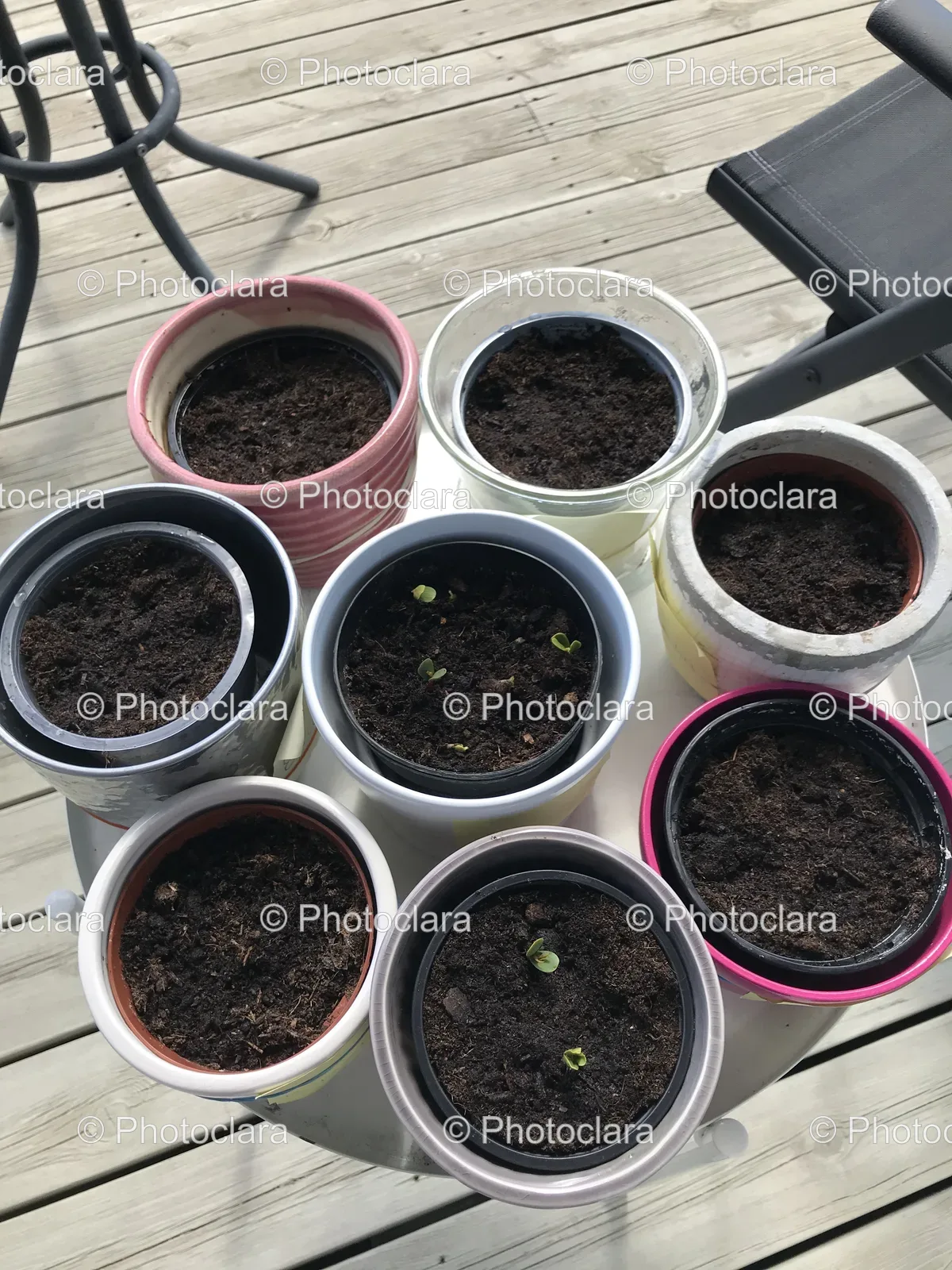 Group-of-Pots-with-Dirt.jpg