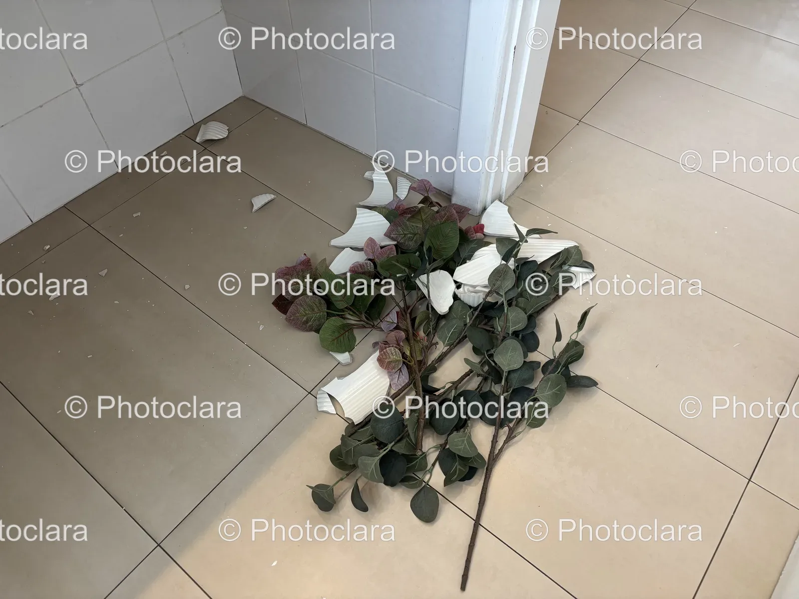Houseplant-on-Tiled-Floor.jpg