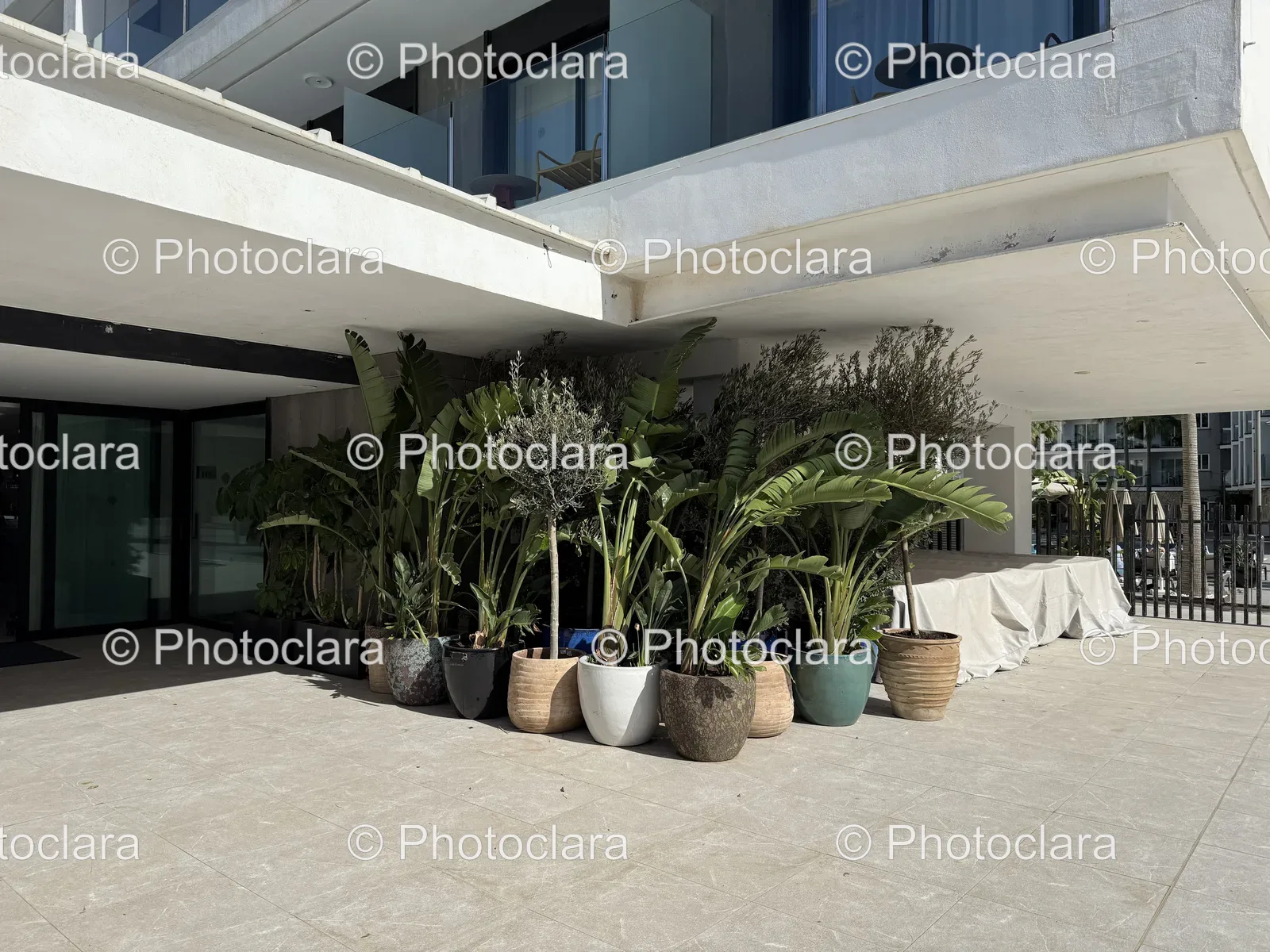Potted-Plants-in-Front-of-Building.jpg