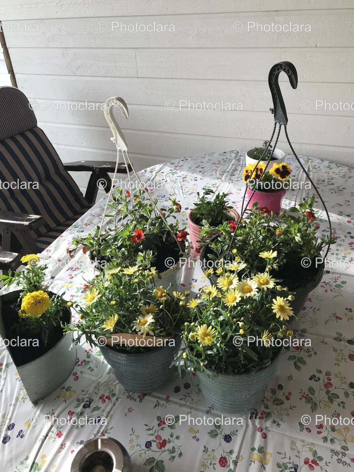 Potted-Plants-on-a-Table.jpg