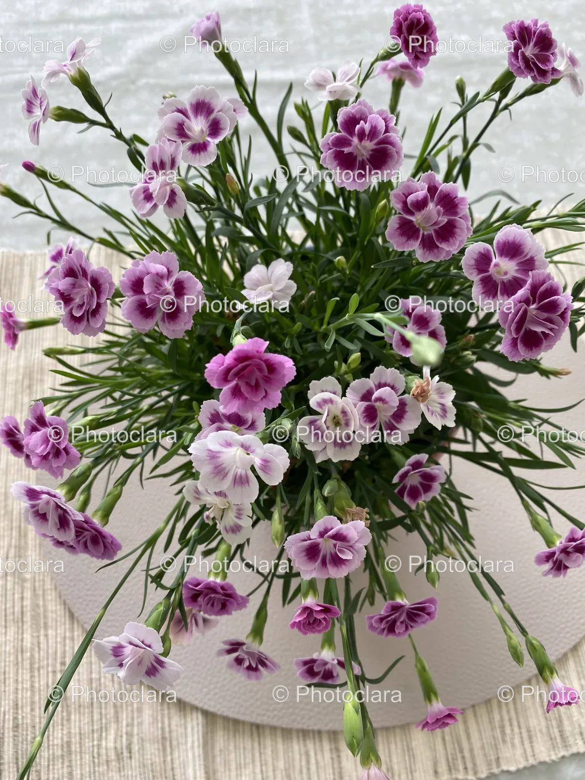 purple-and-white-flower-pot.jpg