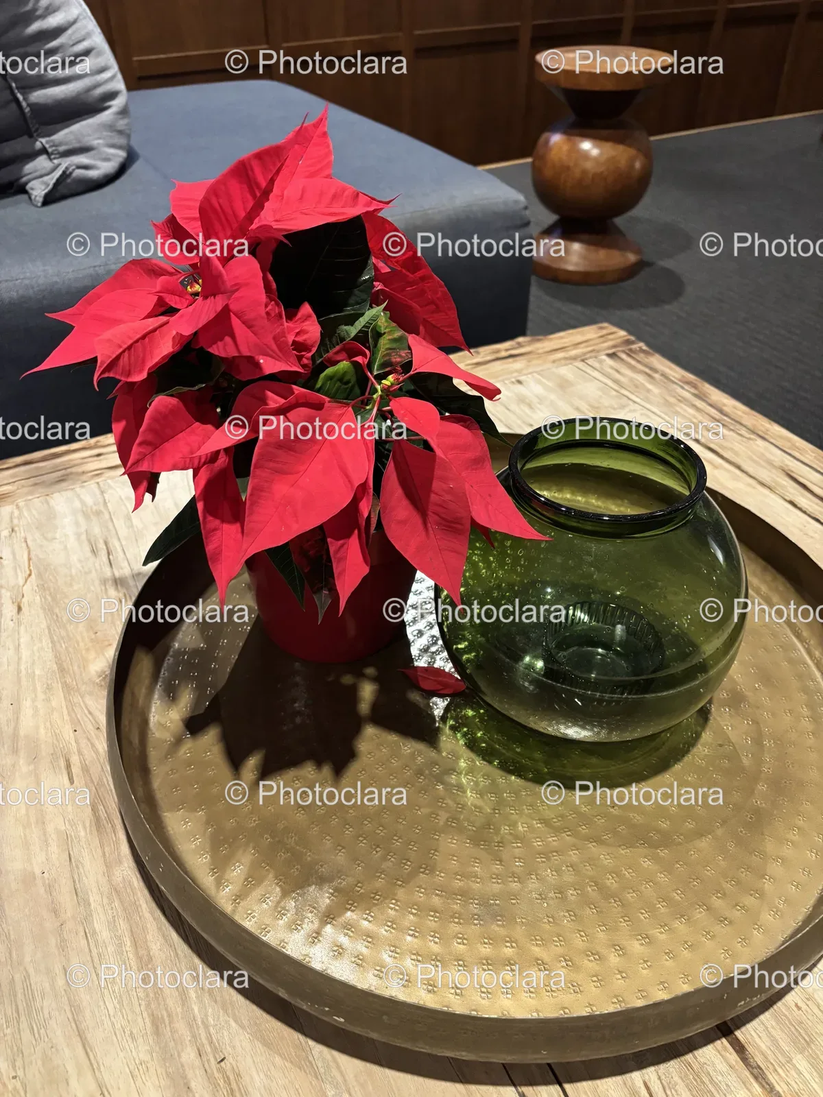 Radiant-Red-Flower-in-Pot.jpg