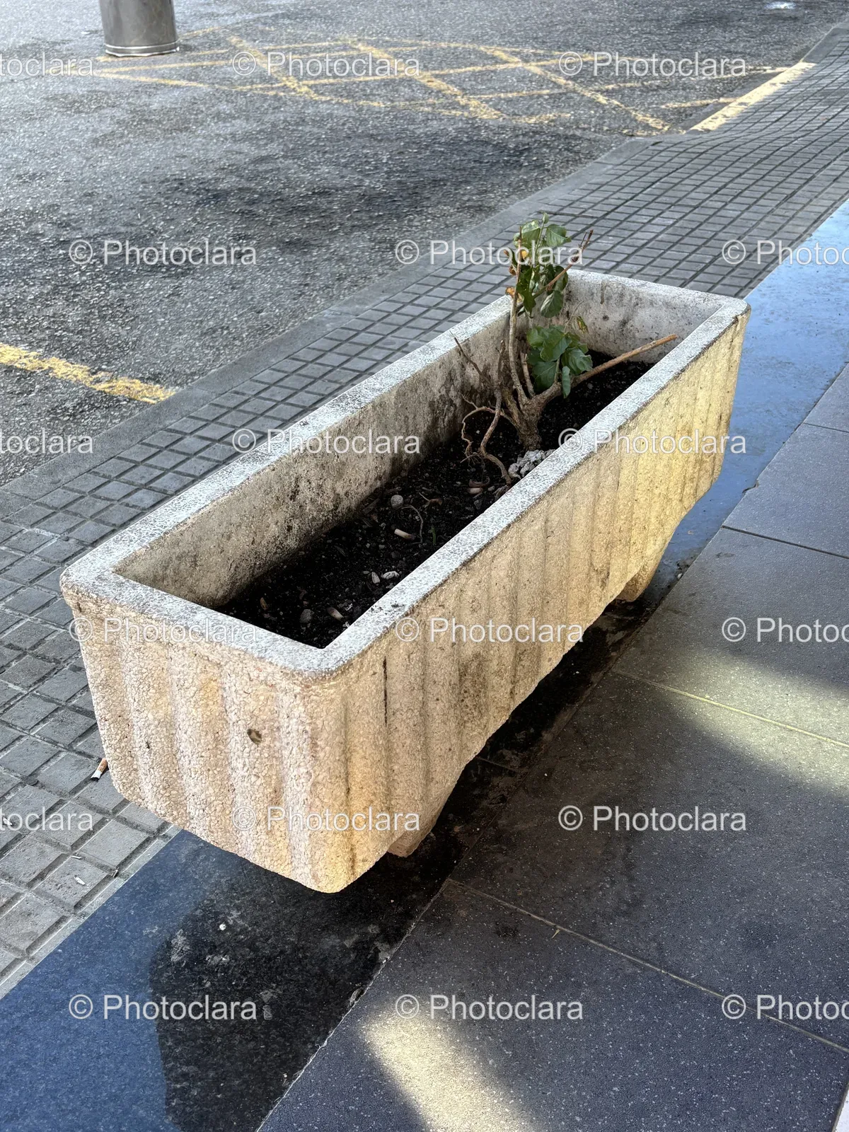 Street-Side-Planter-Houseplants.jpg