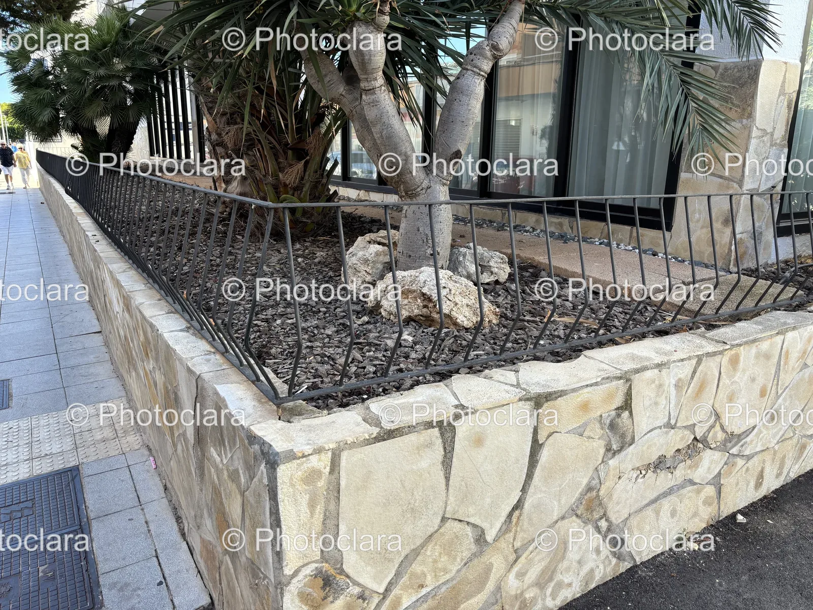 tree-in-stone-planter-outdoor.jpg