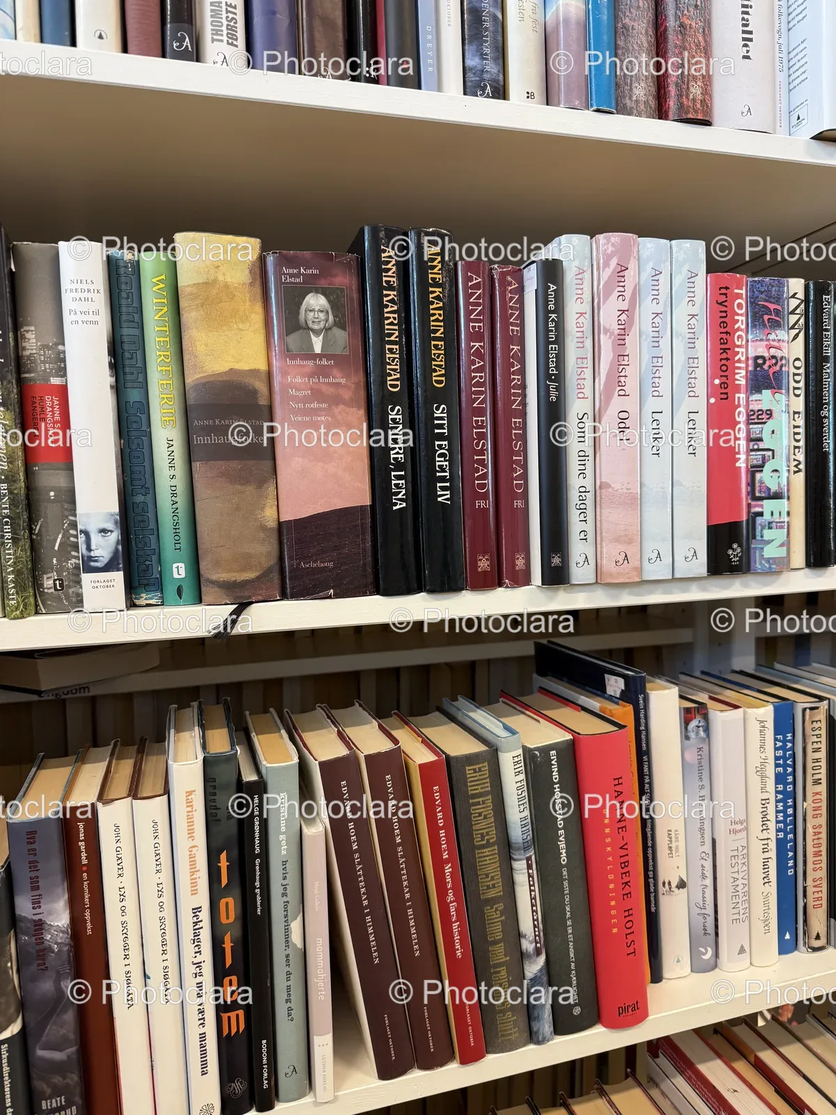 Books-on-Library-Shelf.jpg