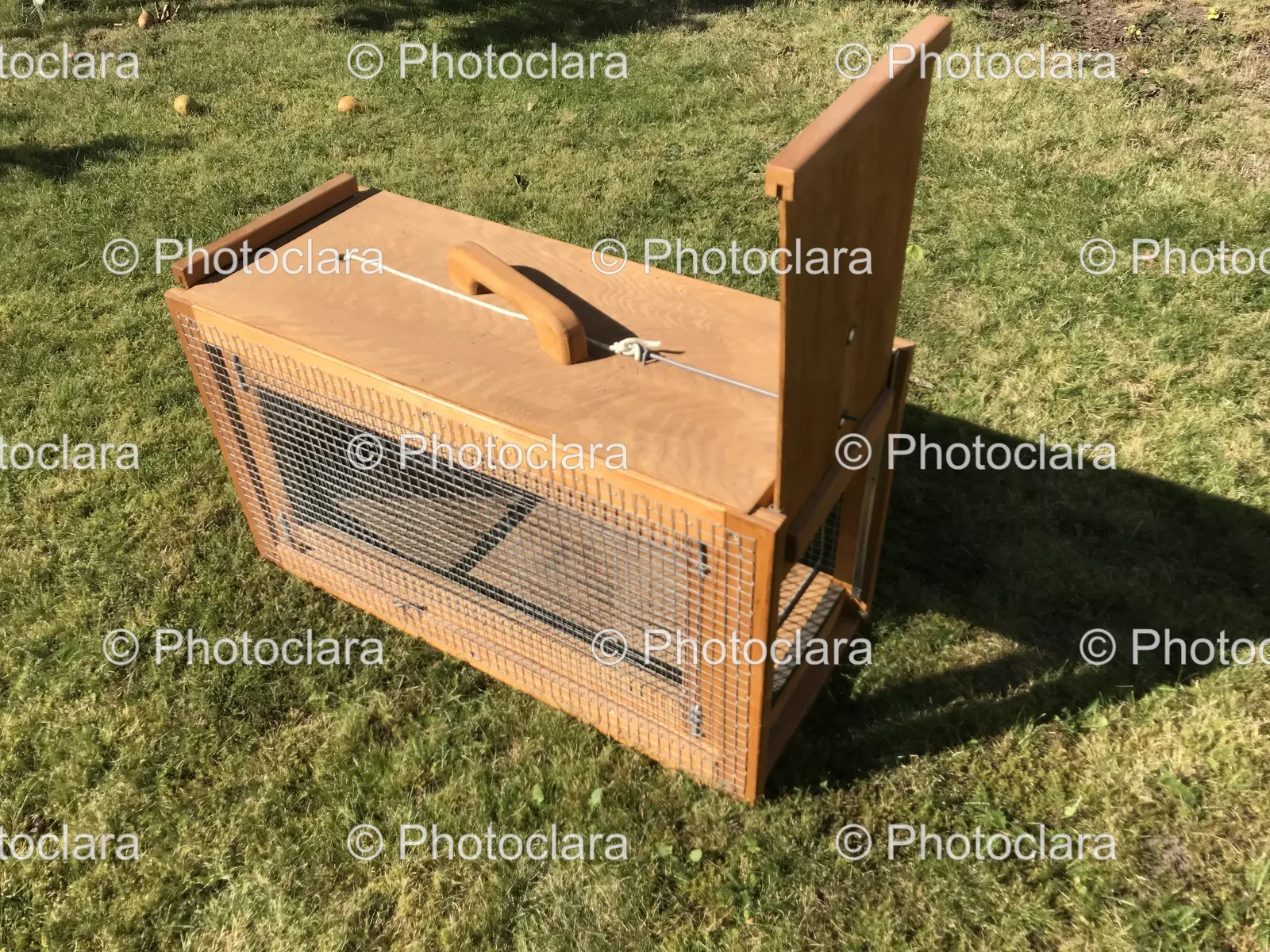 Rustic-Wooden-Box-on-Grass.jpg