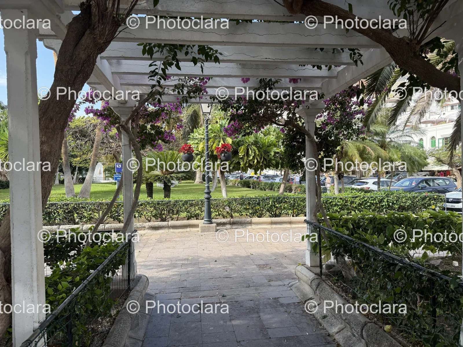 tranquil-white-pergola-lush-garden.jpg
