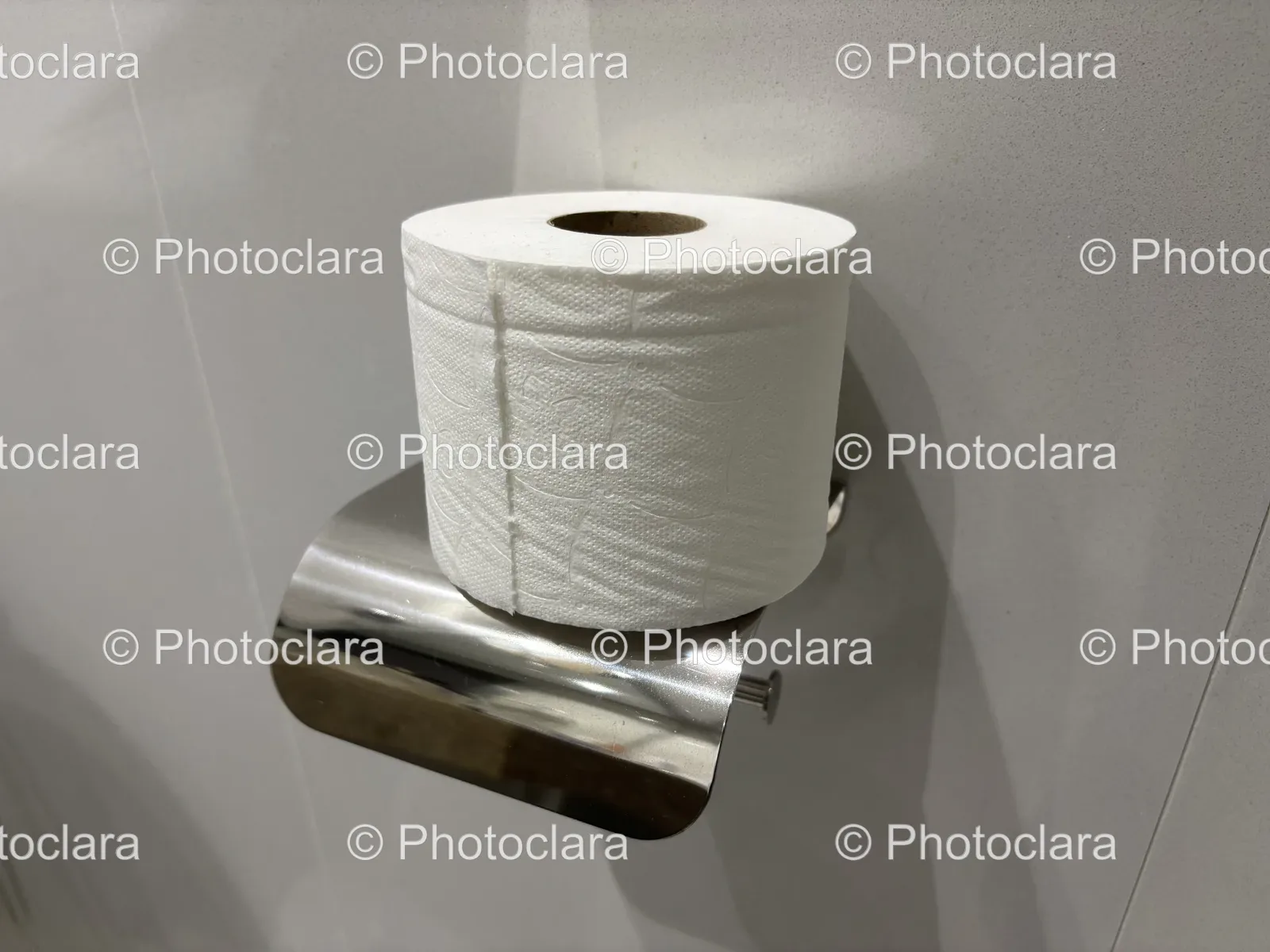 Elegant-Toilet-Paper-Roll-on-Metal-Holder.jpg