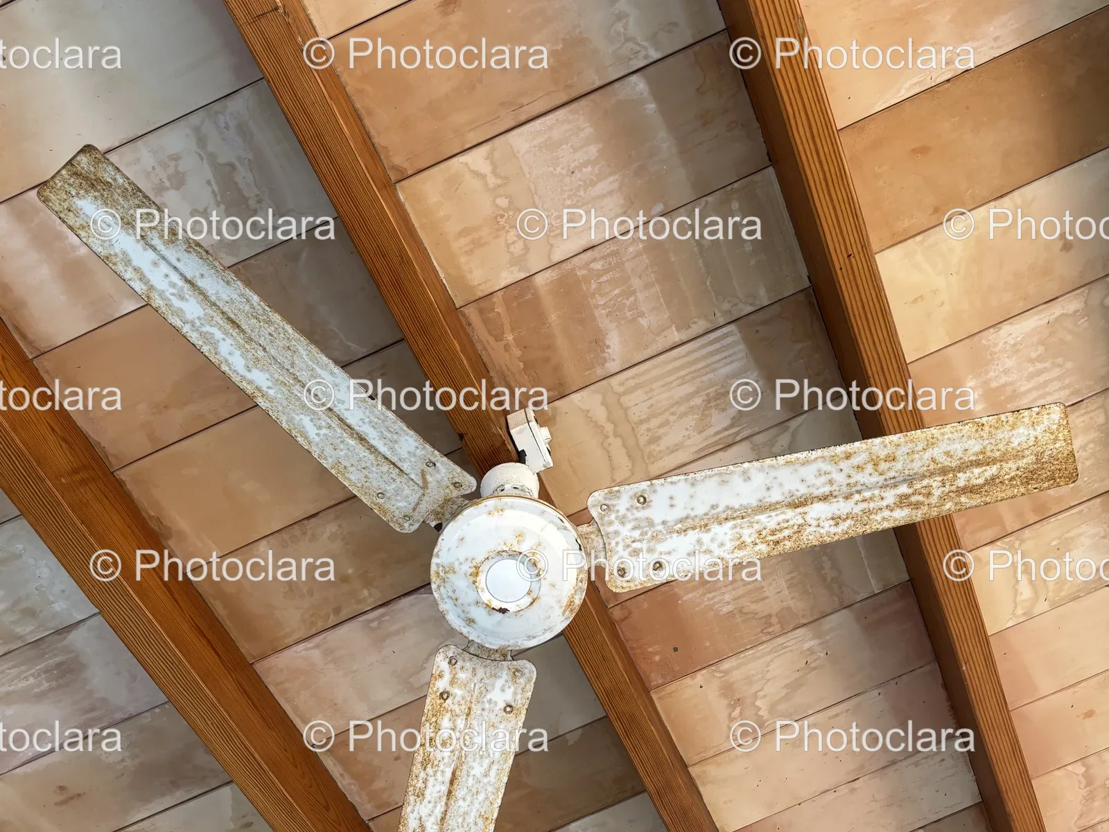 Rusted-Ceiling-Fan.jpg