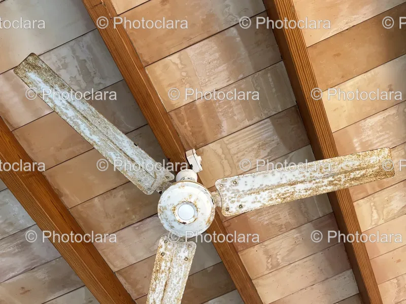 Ceiling Fixtures