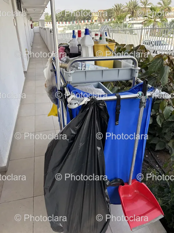 Cleaning Carts