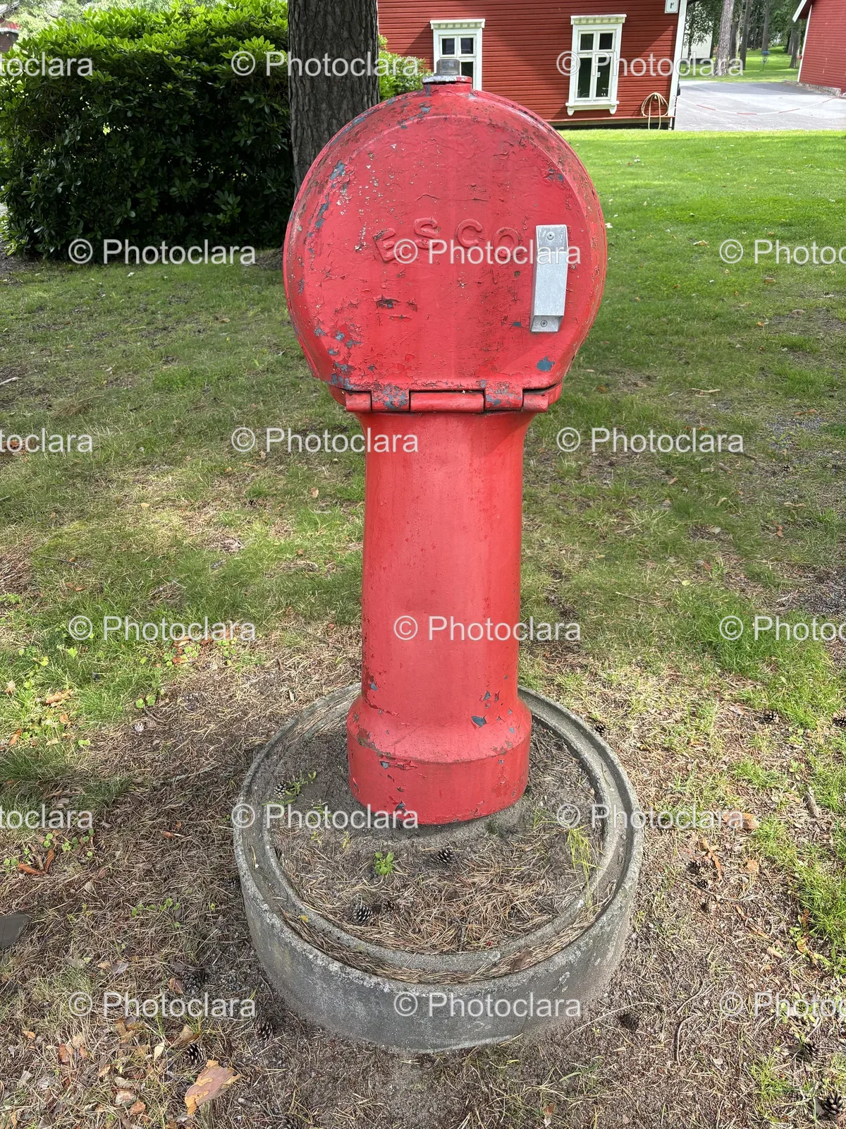 Red-Fire-Hydrant-Grassy-Area.jpg