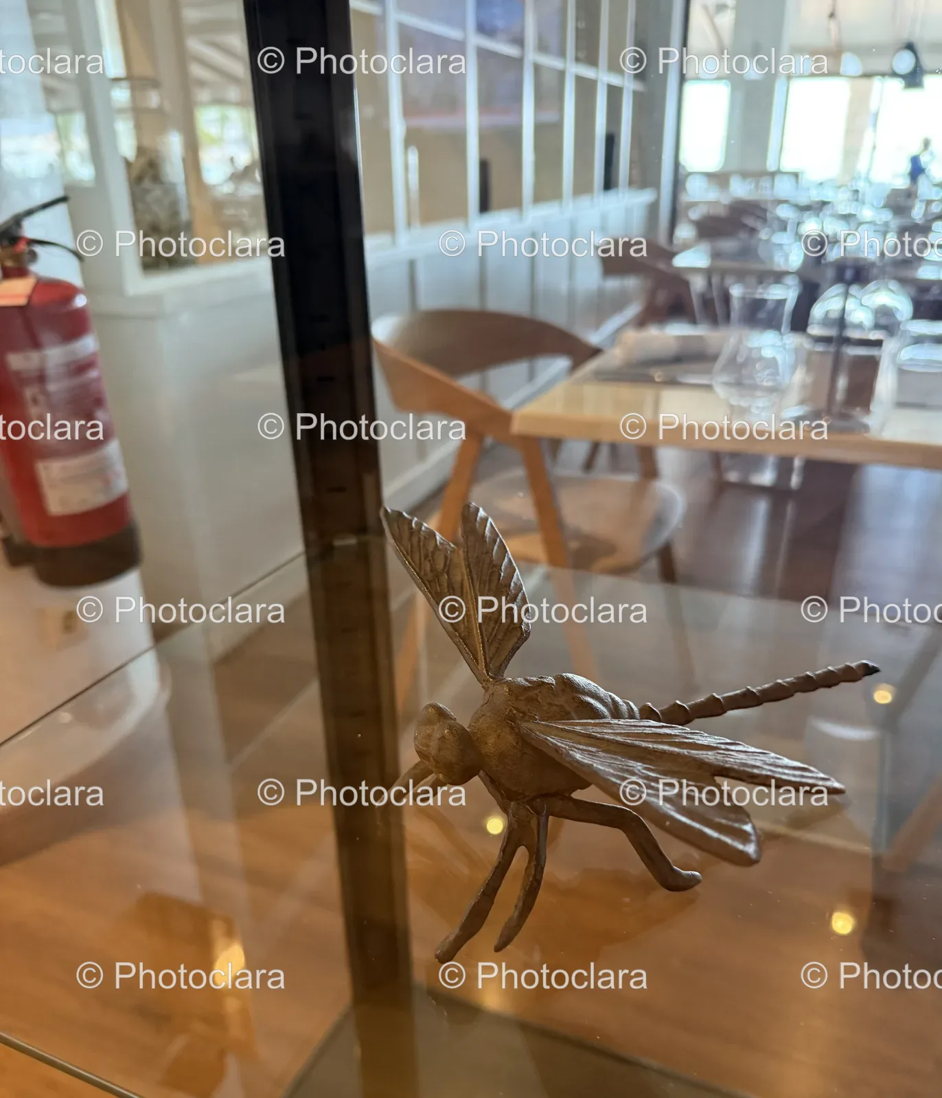 intriguing-bug-statue-on-glass-table.jpg