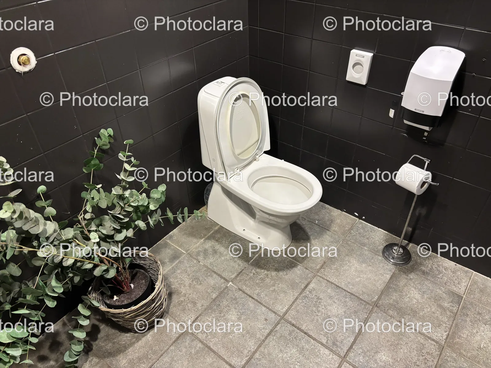 Modern-Bathroom-with-Toilet.jpg