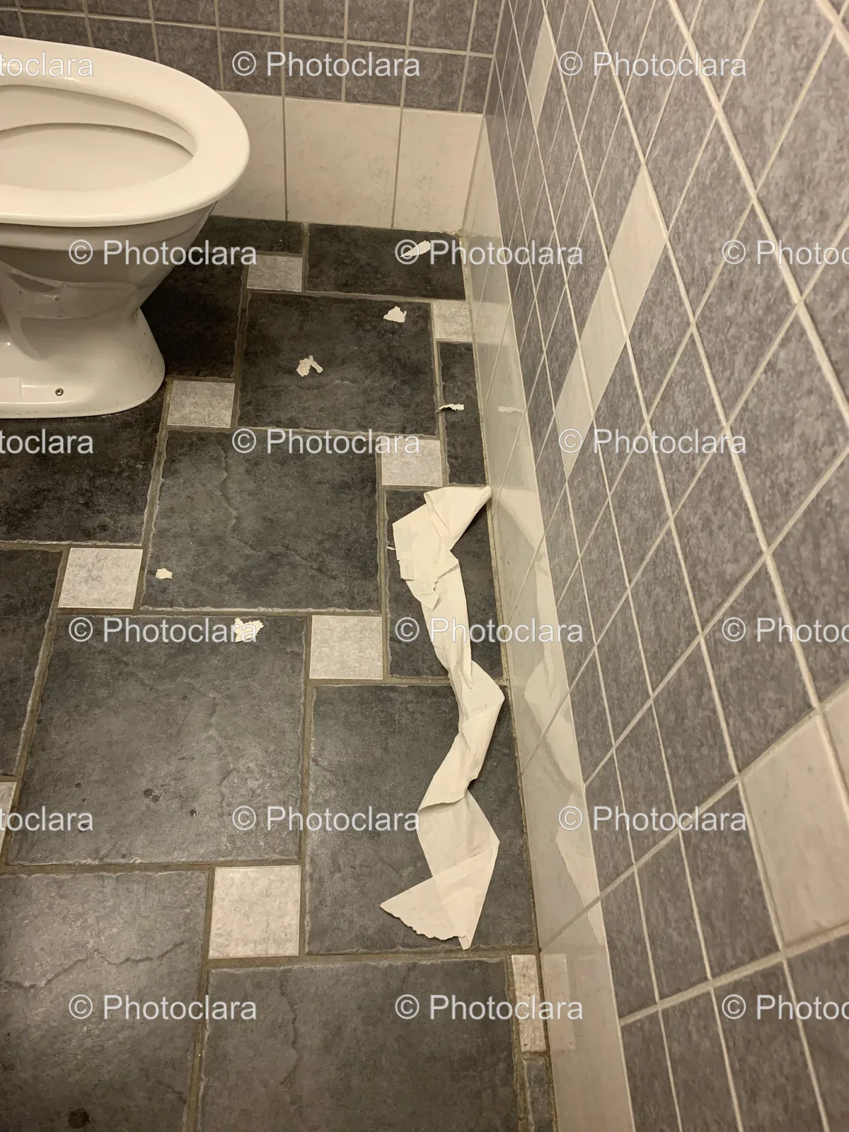 toilet-paper-on-bathroom-floor.jpg