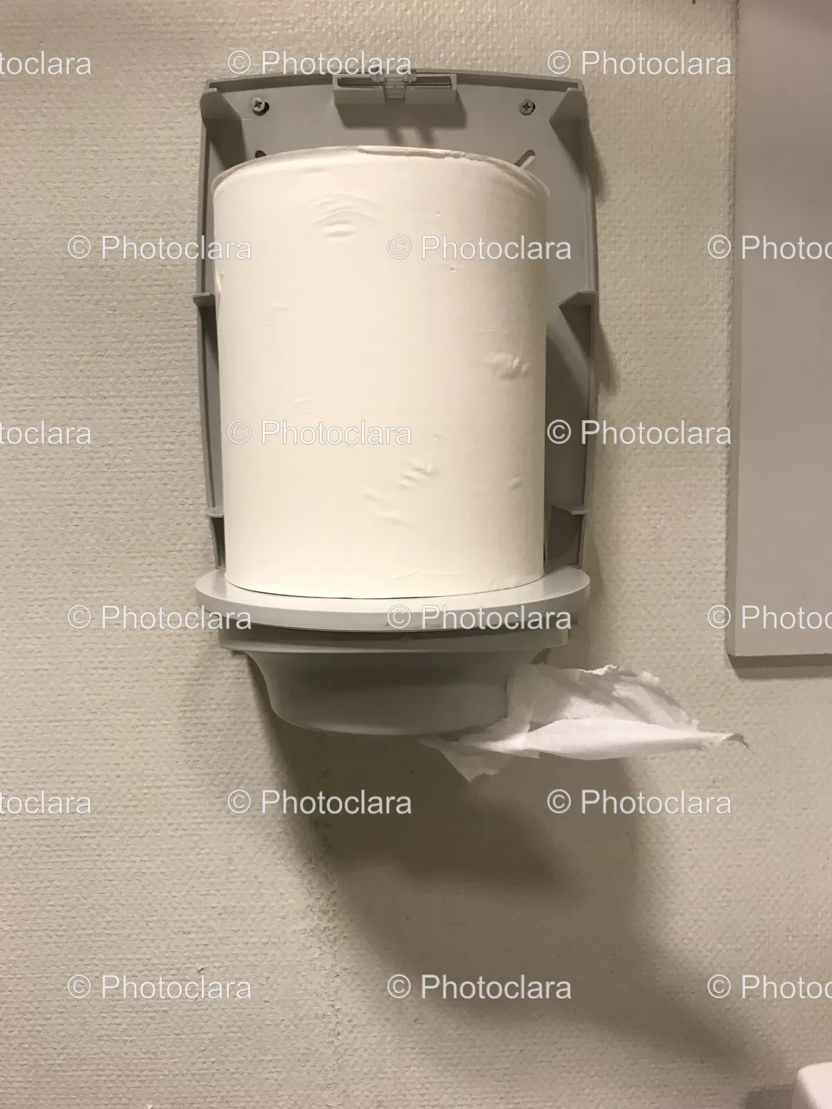 toilet-paper-on-holder.jpg