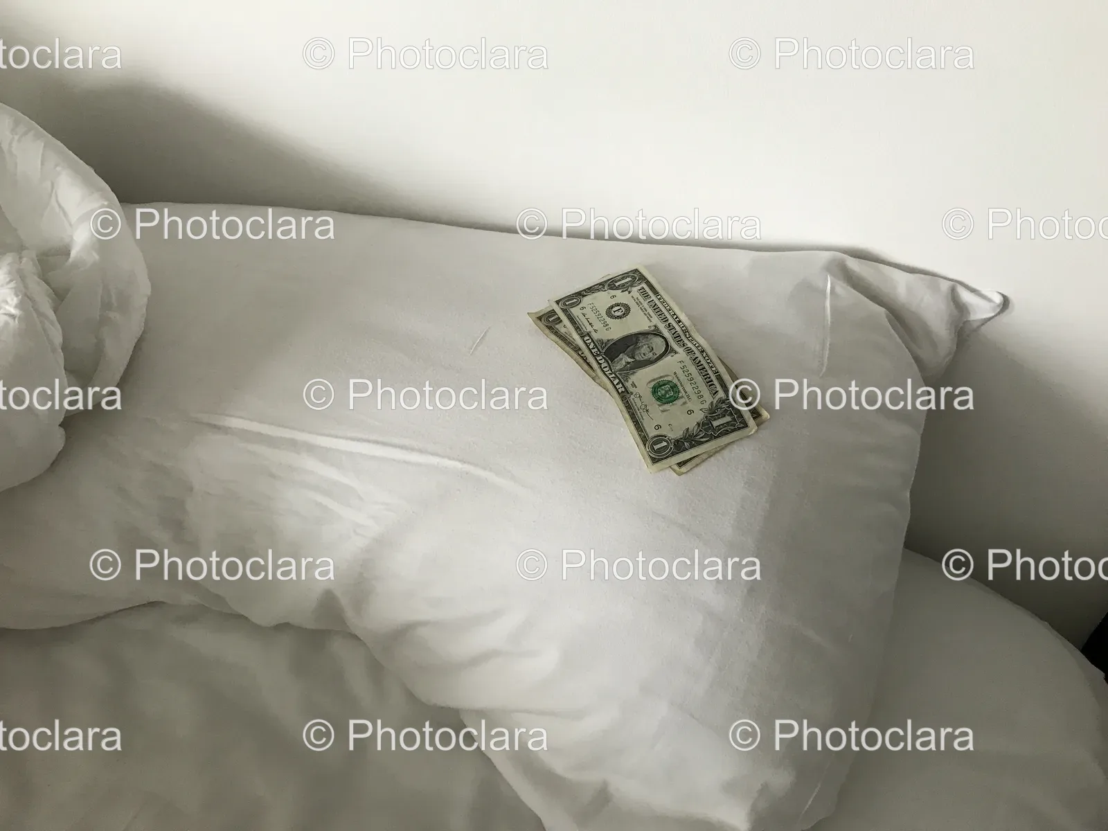 Money-on-a-Pillow-in-a-Bedroom.jpg