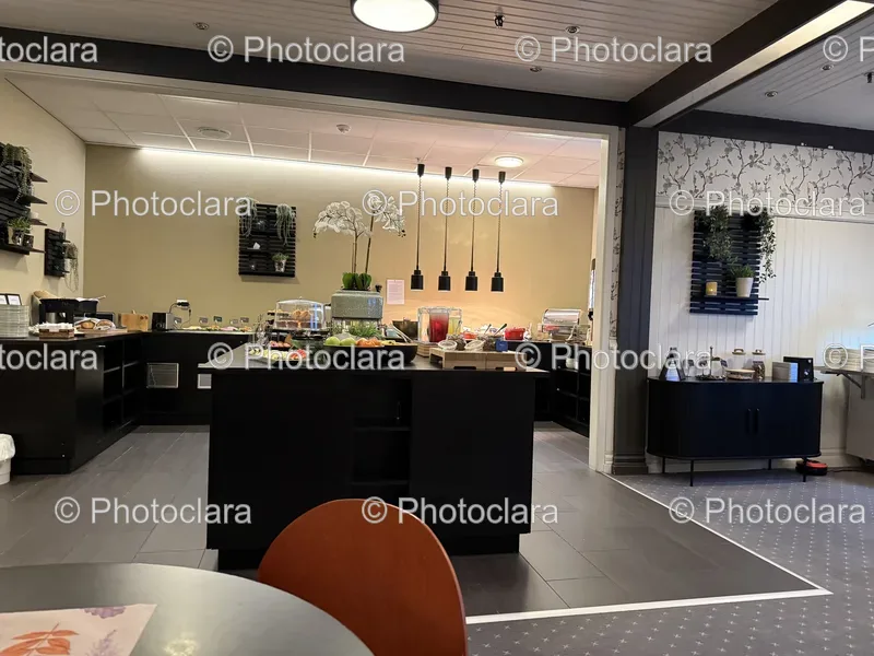 Buffet Tables and Dining