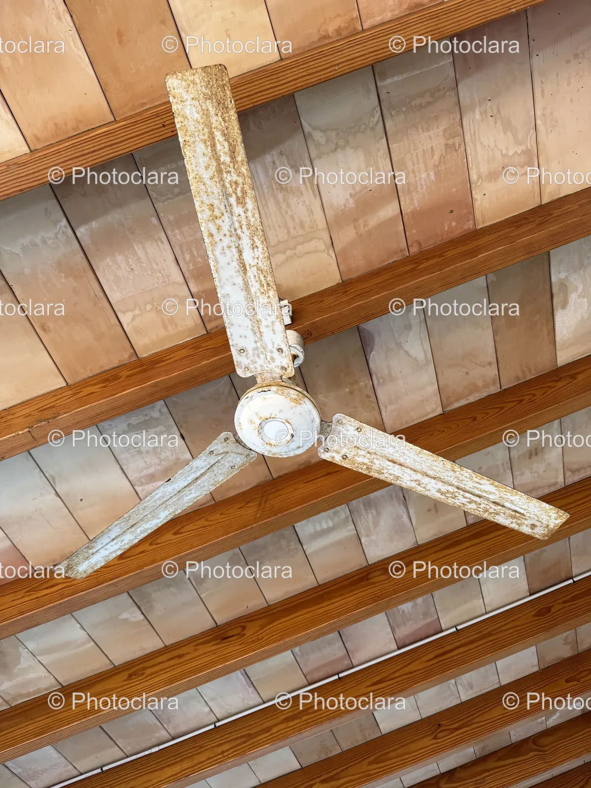 Rusted-Ceiling-Fan-Metal-Blades.jpg