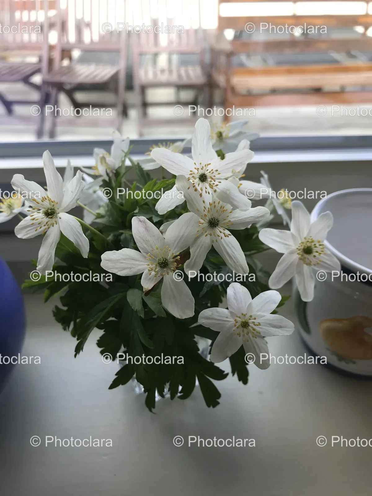 elegant-white-flowers-in-a-vase.jpg