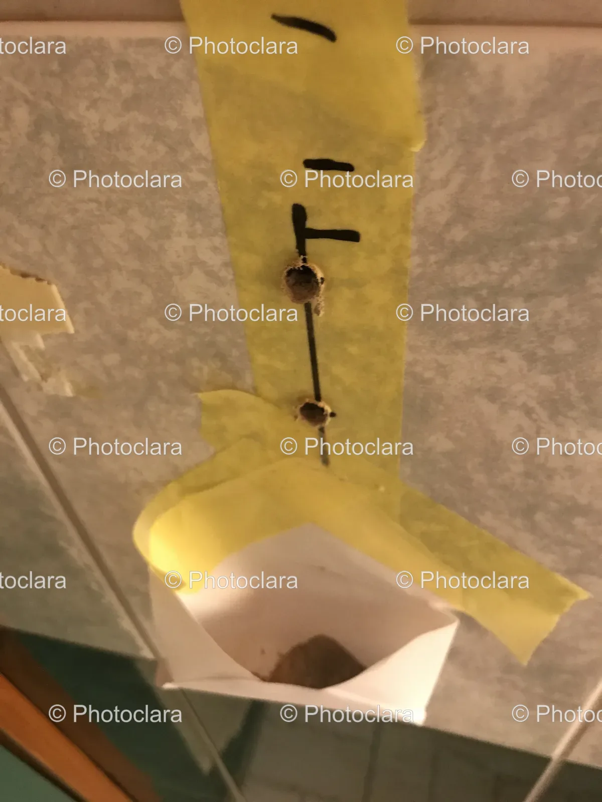 yellow-tape-on-wall.jpg