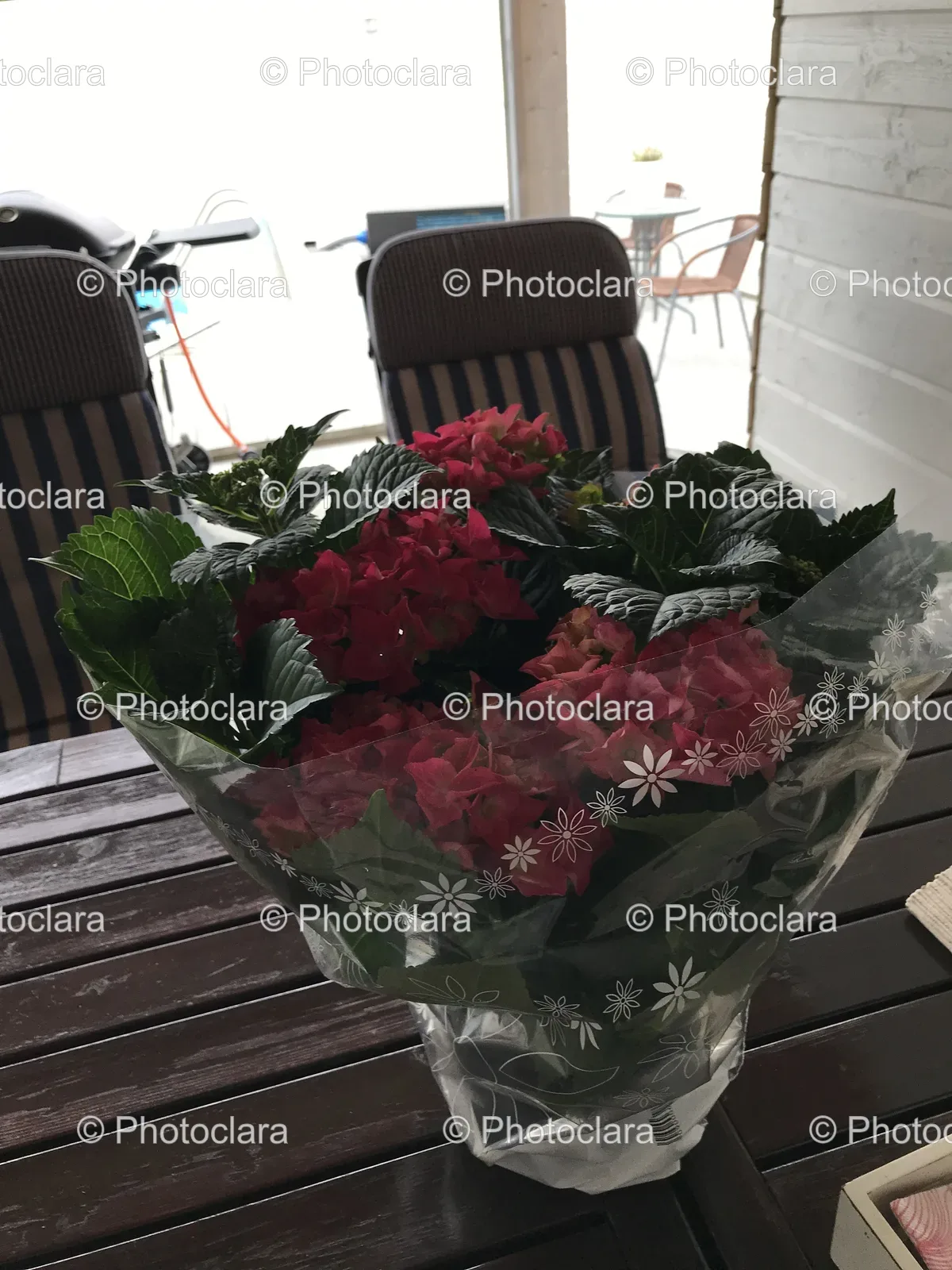 Beautiful-Bouquet-of-Flowers-by-the-Window.jpg