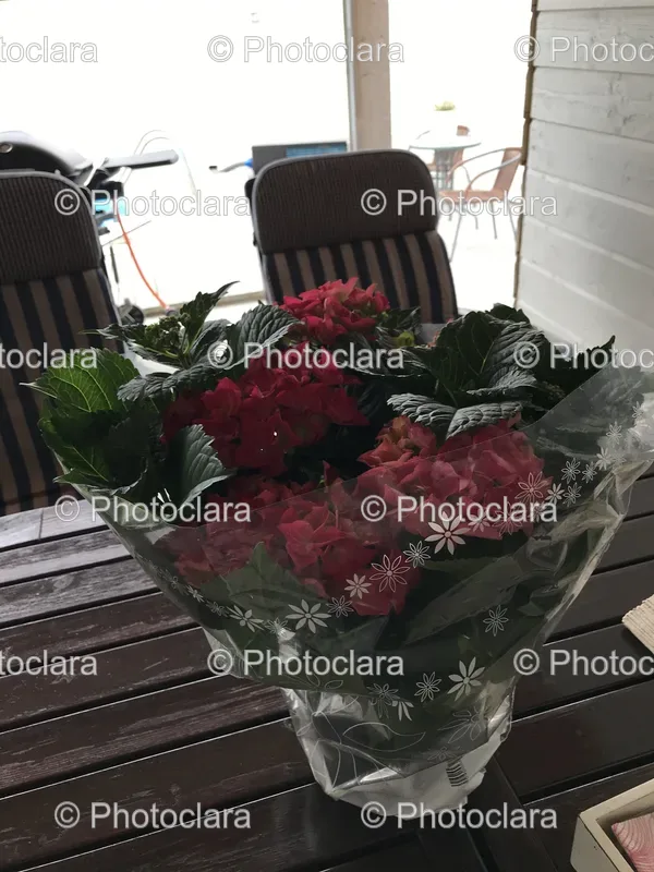 Floral Arrangements