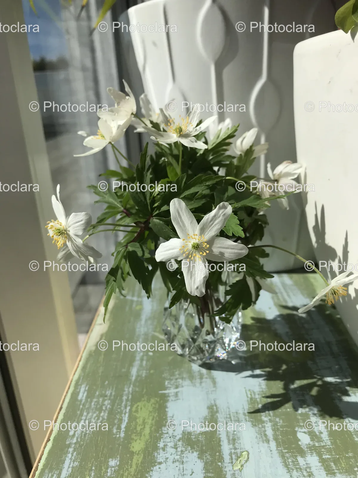 Vase-of-White-Flowers-by-the-Window.jpg
