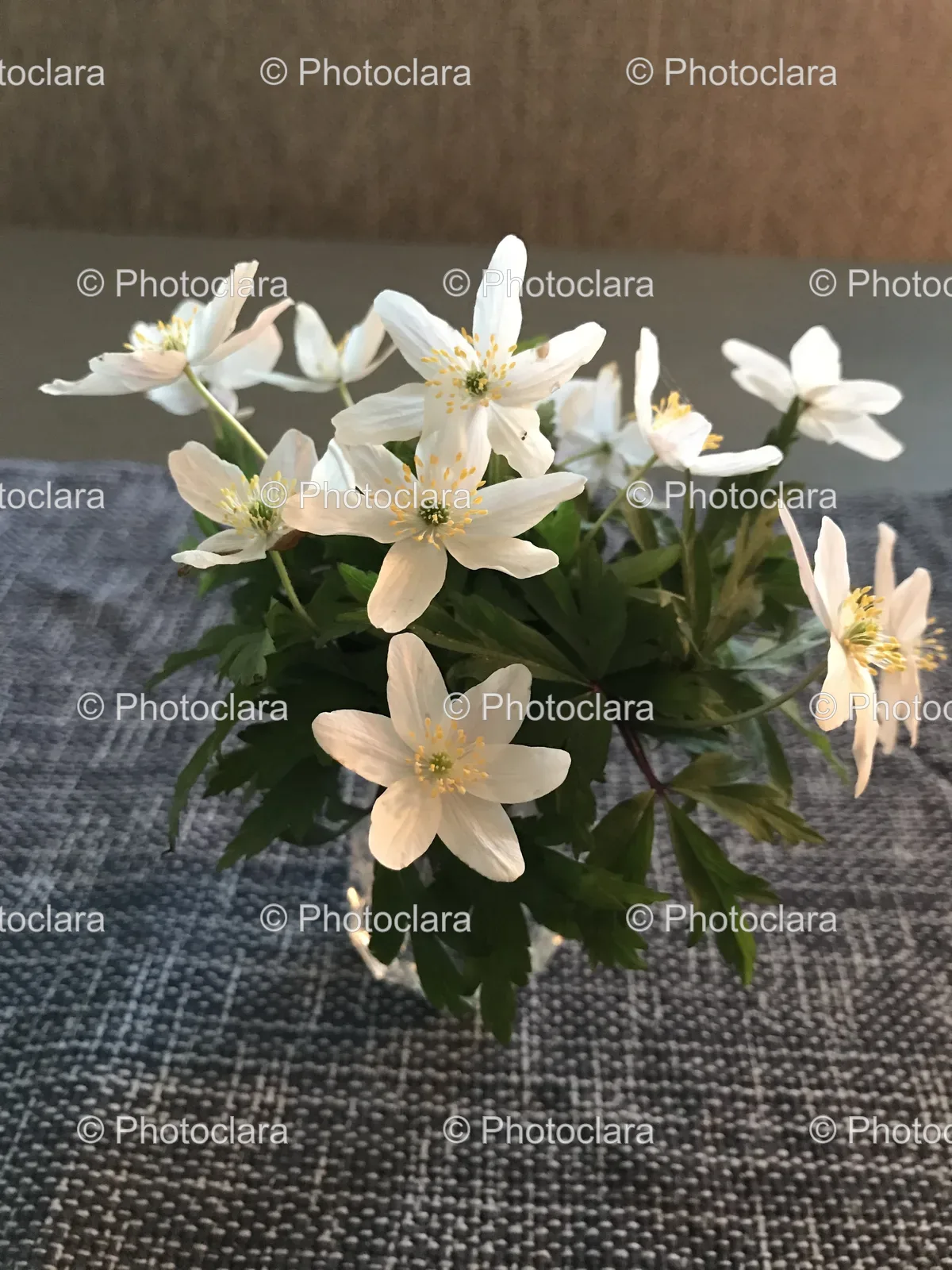 White-Flowers-in-a-Vase.jpg