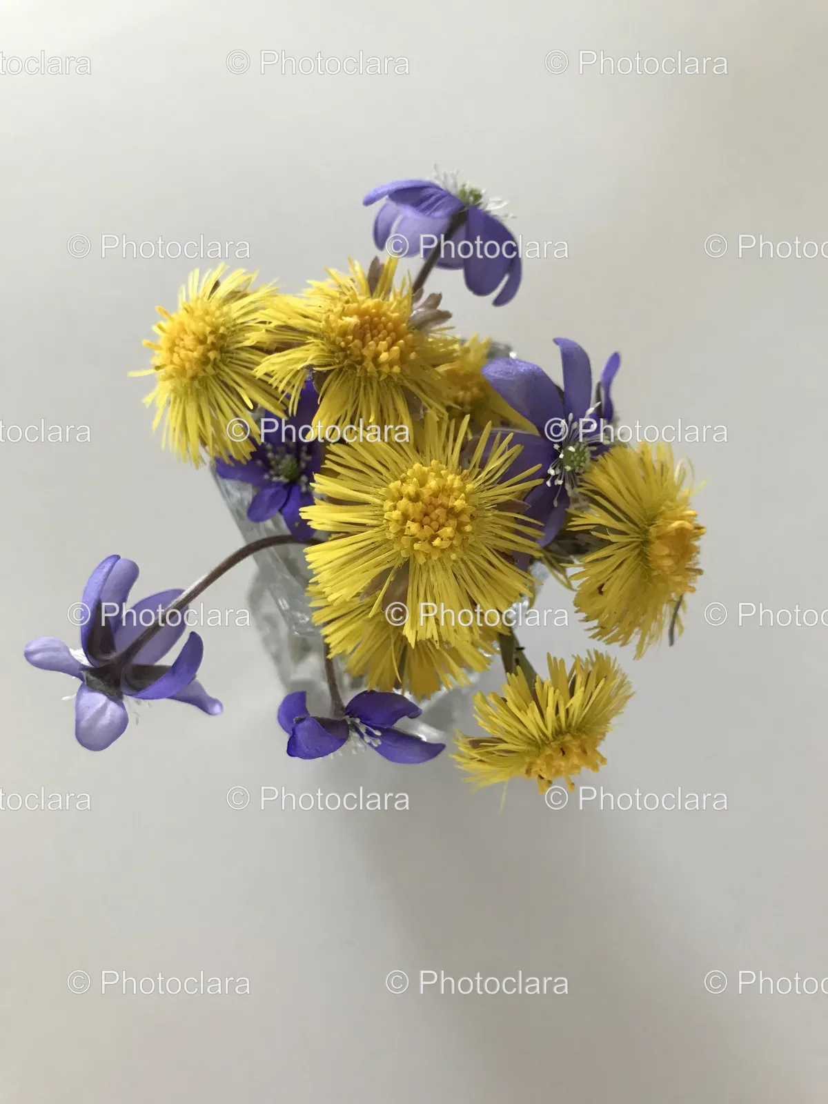 Yellow-Flower-Bouquet.jpg