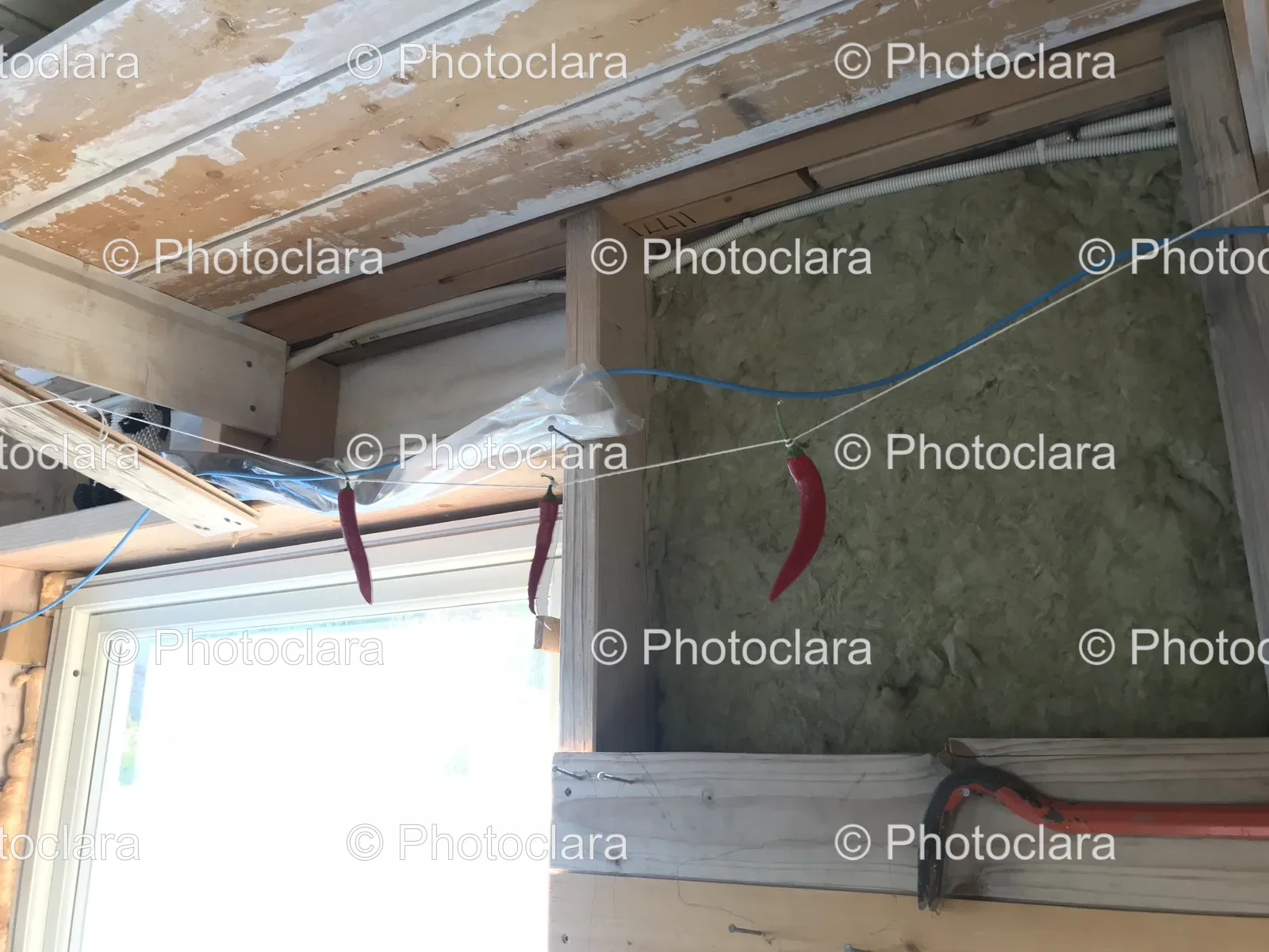 Red-Peppers-Hung-on-Wire-in-Construction-Area.jpg